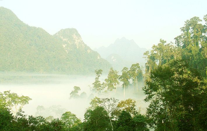 Bau vat troi ban o VQG Xuan Son, nghe thoi da thay thich me-Hinh-6