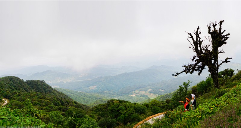 Tan muc kho bau hiem co o Cong vien dia chat Non nuoc Cao Bang-Hinh-15