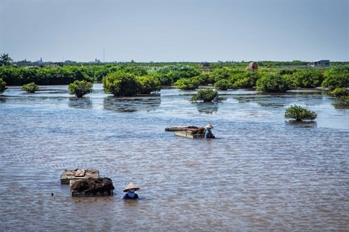 Kham pha bau vat troi ban o Vuon quoc gia nho nhat Viet Nam-Hinh-11