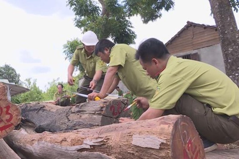 Vu Phuong “rau“: Khoi to them mot can bo kiem lam