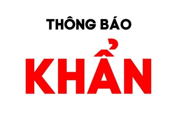 Ha Noi khan cap tim nguoi tung den mua trung tai cho dau moi Den Lu