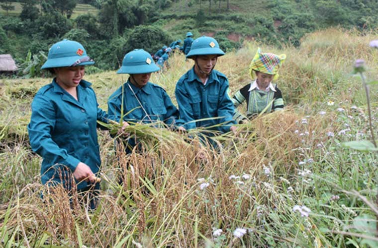 Dieu chua biet ve Dan quan tu ve Viet Nam-Hinh-13