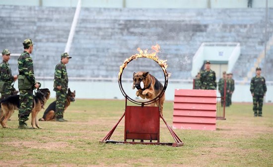 Tuong Thuong Van Toan khen ngoi vo thuat cua bo doi Bien phong Lang Son-Hinh-8