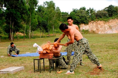 Dung manh, gan da chien si Dac cong Viet Nam-Hinh-2