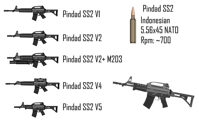 Than phuc: Indonesia xuat khau xe boc thep, sung va may bay-Hinh-7