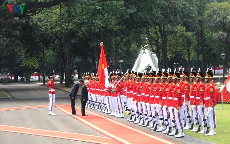 Toan canh le don chinh thuc Tong Bi thu Nguyen Phu Trong tai Indonesia-Hinh-5