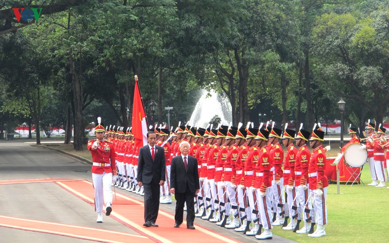 Toan canh le don chinh thuc Tong Bi thu Nguyen Phu Trong tai Indonesia-Hinh-6