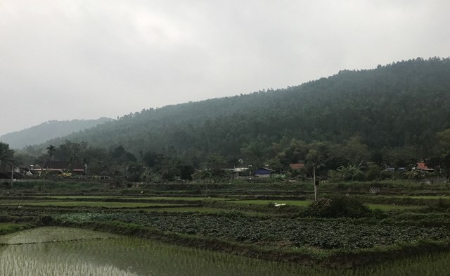 Pha rung phong ho xay “sieu nghia trang”: Vinh Phuc co phot lo nguoi dan?