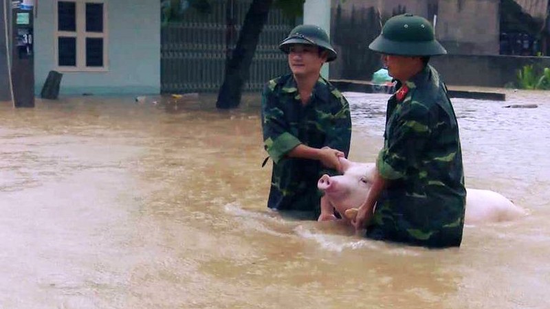 Ron nguoi canh dong nuoc lu can quet cac tinh Bac Bo-Hinh-10