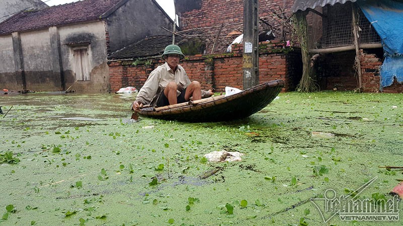 Khon kho cuoc song nguoi dan noi vo de o Chuong My-Hinh-10