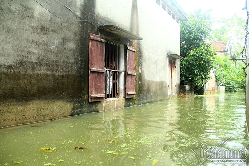 Khon kho cuoc song nguoi dan noi vo de o Chuong My-Hinh-13