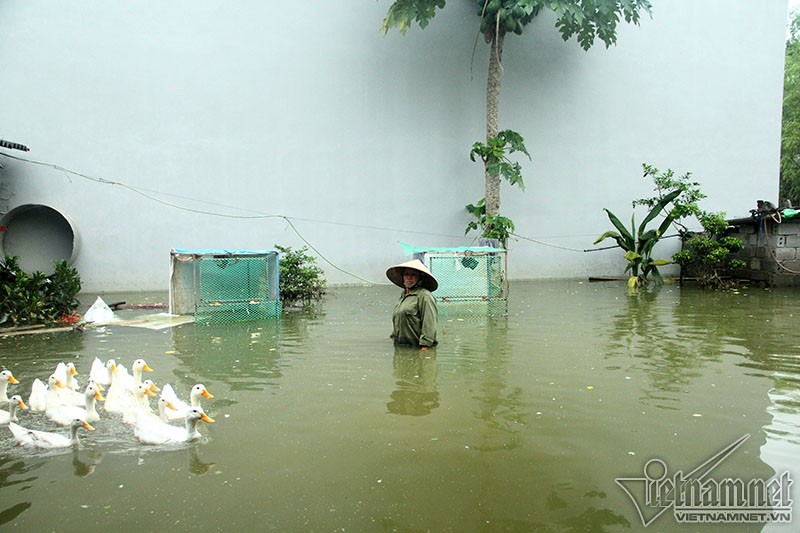 Khon kho cuoc song nguoi dan noi vo de o Chuong My-Hinh-14