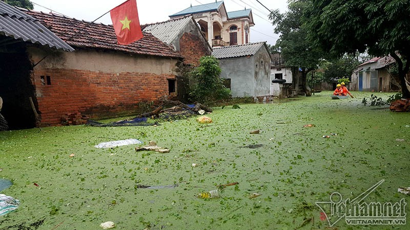 Khon kho cuoc song nguoi dan noi vo de o Chuong My-Hinh-5