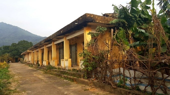 Ngay can Tet nghe chuyen tinh nhoi long o trai phong bo hoang Ha Noi-Hinh-2