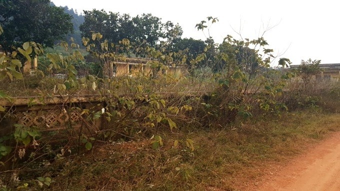 Ngay can Tet nghe chuyen tinh nhoi long o trai phong bo hoang Ha Noi