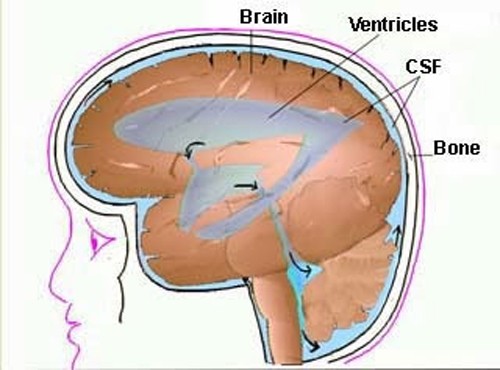 Benh hiem cua Quoc vuong Thai Lan có chũa duọc khong?-Hinh-3