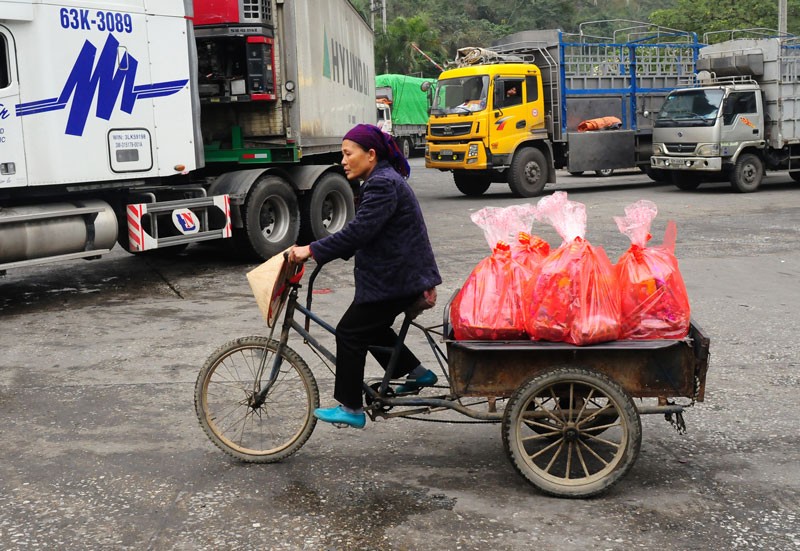 Vung bien vang lang ngày giáp Tét-Hinh-10