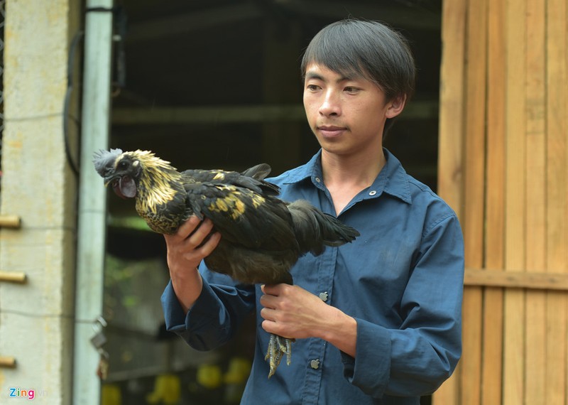 Ga xuong den quy hiem cua nguoi Mong o Mu Cang Chai