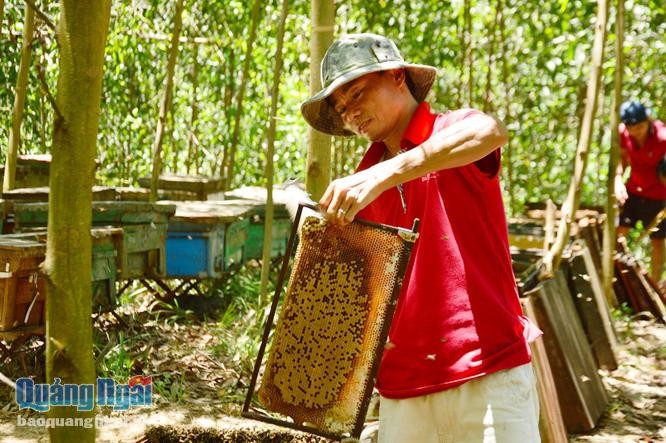 Quang Ngai: Bac tin don dan ong bu don lai khien lua...lep hat