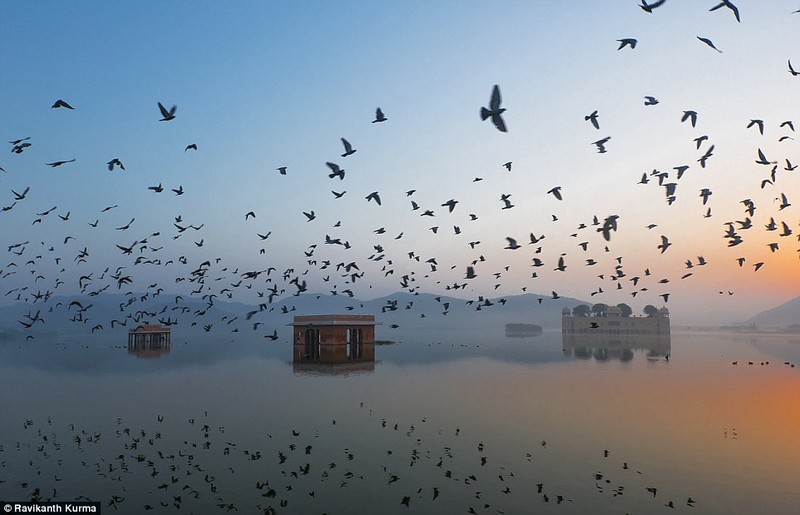 10 anh thien nhien va cuoc song dep nhat cua National Geographic-Hinh-5