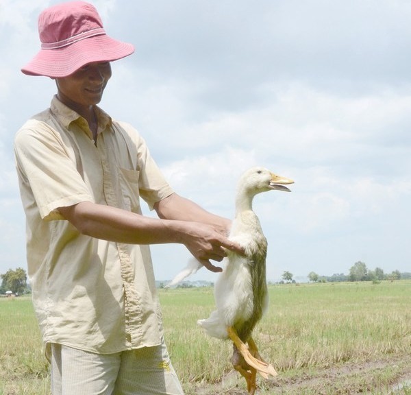 Xuat hien vit bon chan ky quai o Tay Ninh