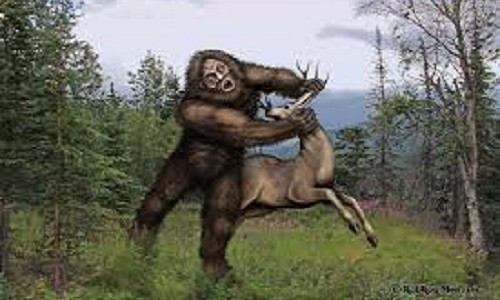 Quai vat Bigfoot lai tiep tuc xuat hien?