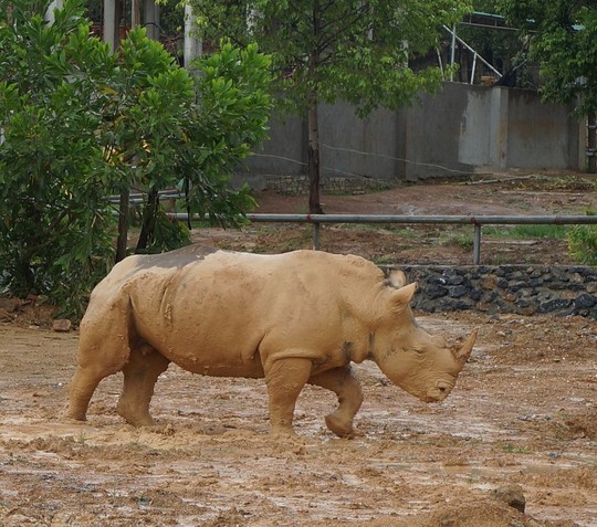 Tham noi nuoi nhieu dong vat hoang da quy hiem nhat VN-Hinh-6