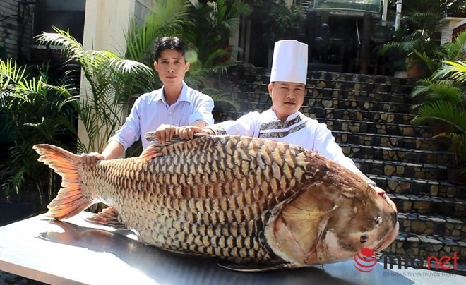 Tan muc ca ho khong lo nang hon ta o Sai Gon