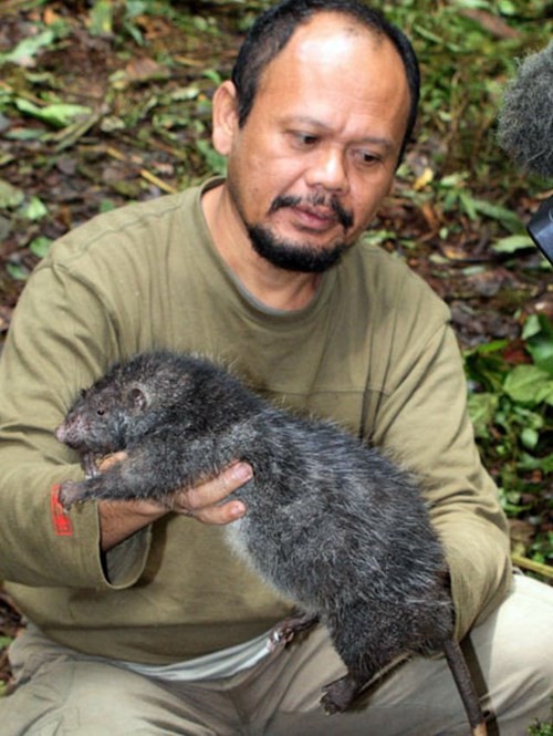 Het hon voi chuot khong lo khong so nguoi o Papua New Guinea-Hinh-2