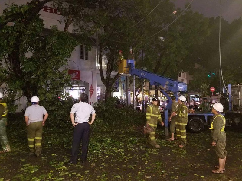 Ha Noi: Cay xanh do sau mua lam mot nguoi nhap vien-Hinh-2