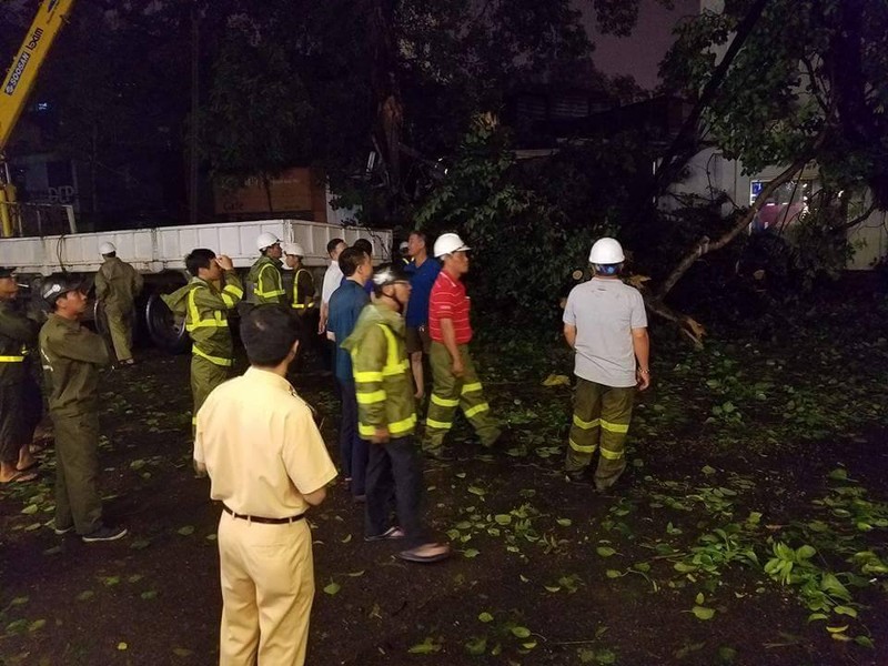 Ha Noi: Cay xanh do sau mua lam mot nguoi nhap vien-Hinh-4