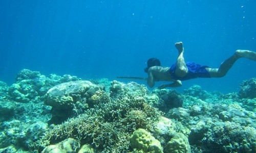 Nhung dieu gay sung sot ve “nguoi ca” Bajau