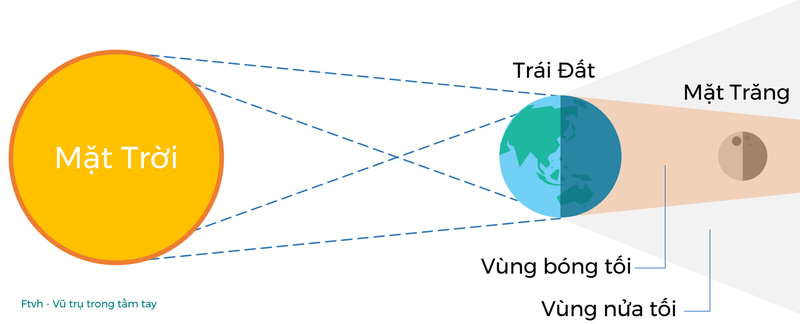 Su that co the ban chua biet ve trang mau