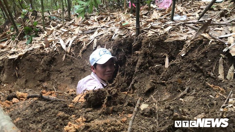 Dau tri voi chuot khong lo tinh khon o rung tay Yen Tu-Hinh-2