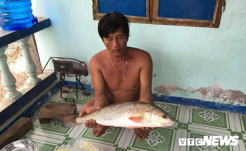 Bat duoc ca nghi ca su vang quy hiem o Khanh Hoa