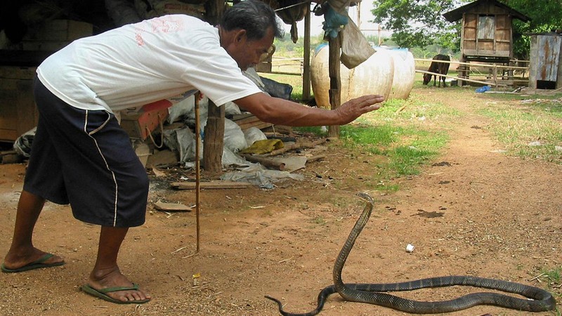 Den noi coi ran ho mang la thu cung, hon hit suot ngay-Hinh-5