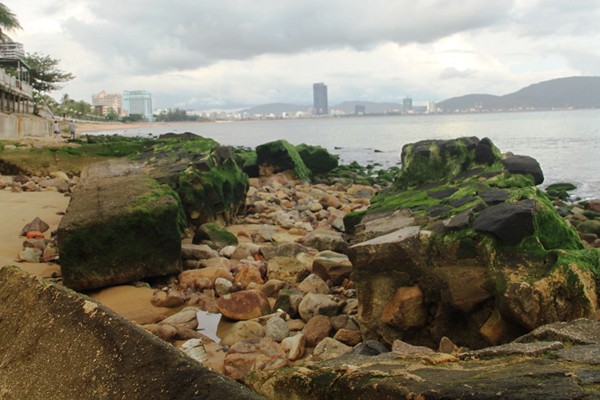 La ky bai da reu xanh lo thien o bai bien Quy Nhon-Hinh-2