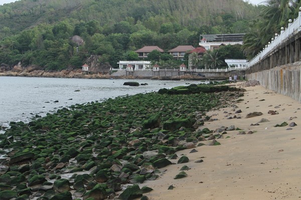 La ky bai da reu xanh lo thien o bai bien Quy Nhon-Hinh-4