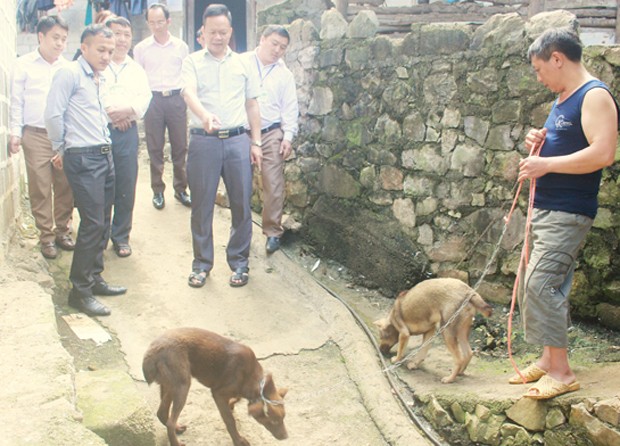 La doc: Ran chua cuon trong binh ruou, thit lon dat hon kim cuong...-Hinh-4