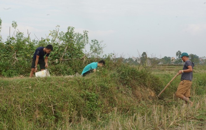 Tiet lo thu vi chuot dong, dac san truyen doi Dinh Bang-Hinh-2