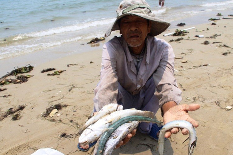 Chuyen gia Nga phan bac cau hoi: Ca tom hay la thep?