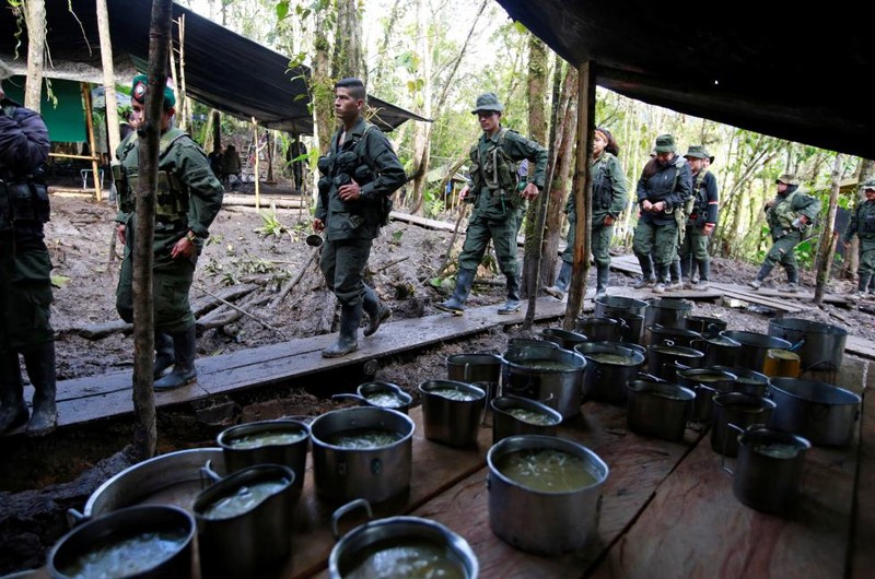 Nhung ngay cuoi cung cua FARC o Clombia-Hinh-3