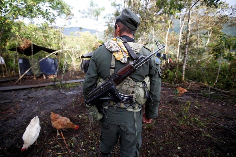 Nhung ngay cuoi cung cua FARC o Clombia-Hinh-5