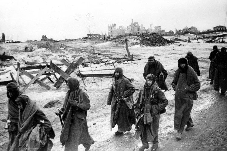 Chum anh tran Stalingrad trong The chien II: 75 nam nhin lai-Hinh-6