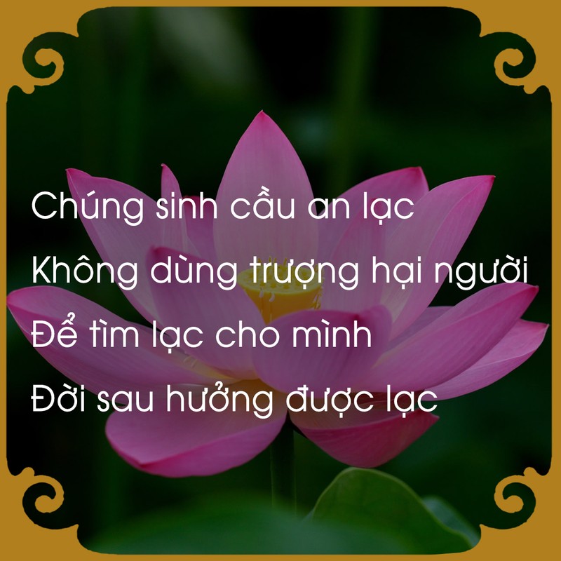 Chiem nghiem luat nhan qua qua loi Phat day-Hinh-2