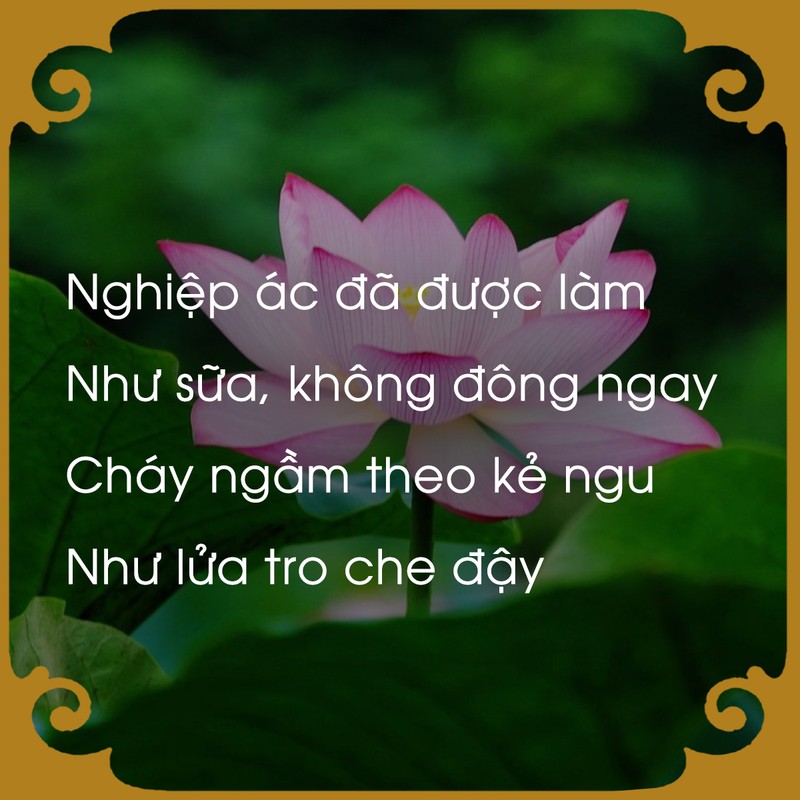 Chiem nghiem luat nhan qua qua loi Phat day-Hinh-4