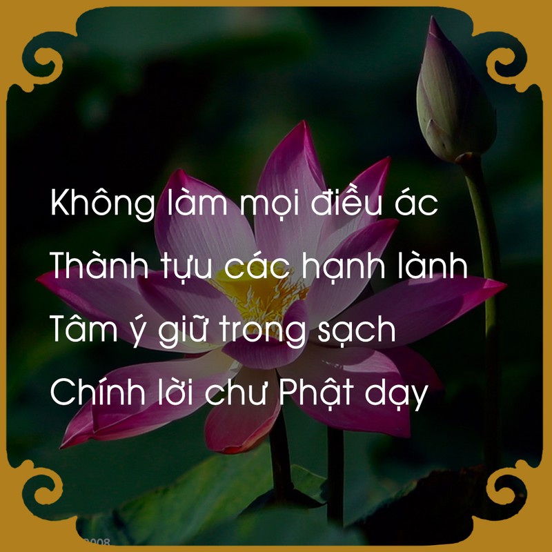 Chiem nghiem luat nhan qua qua loi Phat day-Hinh-5