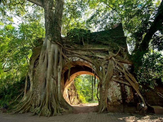 Lang ngam thanh da ong doc nhat vo nhi o Ha Noi-Hinh-9