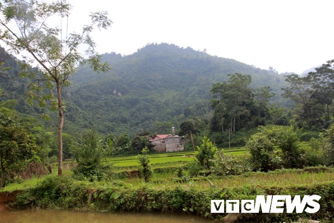 Rung ron ngon nui thieng noi ho than ngu tri o Son La-Hinh-4