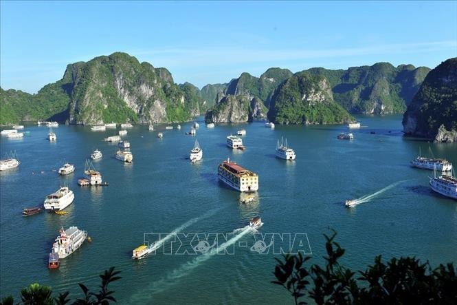 Chiem nguong Vinh Ha Long - noi don doan Lanh dao Trieu Tien-Hinh-2